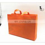 13 Years Experience Manufature Cheapest Heat Seal Non Woven Bag for Shopping thumbnail-1