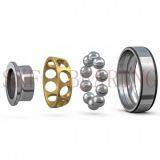 SKF Bearing thumbnail-1
