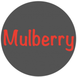 Mulberry Technology (Shenzhen) Co., Ltd.