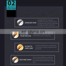 Professional Ozone Micro-mist Nano Hair Steamer SPA Treat Hair for Hair Salon thumbnail-4