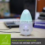 Aromatherapy Wood Essential Oil Car Glass Diffuser Bottle Wholesale China