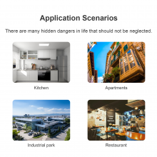 Wireless Gas Detector CH4 Leakage Fire Alarm Security Alarm thumbnail-2