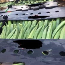 Wholesale Corrugated PP Plastic Vegetables Crates – Custom Packaging Box Factory thumbnail-4