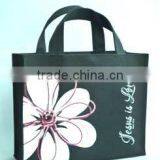 Eco-friendly Non-Woven Bag (NW-022)