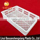 605x420x130mm Plastic Storage Basket for Freezing Duckling, Chicken, Food Transportation thumbnail-2