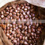 Supply Dried Chestnut With Good Quality for Sale