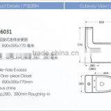 China COCO Sanitary Ware Lavatory Siphonic One Piece Toilet thumbnail-2
