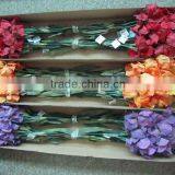 Artificial Iris Stem