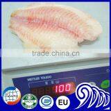 Bulk Tilapia Fillet With High Quality thumbnail-1