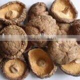 Dried Shiitake Mushroom Wholesale in China thumbnail-6
