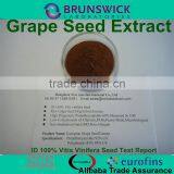 Pure French Grape Seed Extract,ID 100% Vitis vinifera,OPCs 95% USP Grade,Low Pesticides,Aflatoxin,PAHs