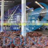 Palm oil press machine with high technology