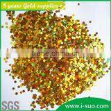 Heat Resistance PET Glitter for Coating