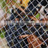 Warp Knitted Anti Bird Netting