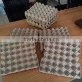 Biodegradable Protective Custom Egg Tray thumbnail-1