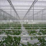New Arrival Aoci Clear Color 8mm PC Sheet Greenhouse thumbnail-1