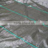 Woven Weed Control Mat, Weed Barrier, Ground Cover thumbnail-6