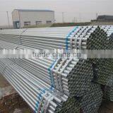 3/4" Animals Fencing Pre Galvanzied Pipes thumbnail-1