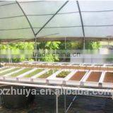 Wet Floral Foam for Agriculture Soilless Seedings Planting thumbnail-4