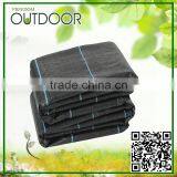 Polypropylene Sheet Ground Cover Fabric thumbnail-1
