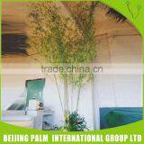 Artificial Indoor Decorative Fake Bamboo Wholesale For Garden Ornaments thumbnail-2
