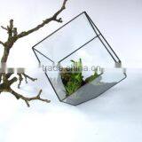 Tabletop Minimalist Decorate Geometric Cube Glass Terrarium thumbnail-4