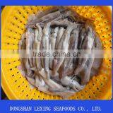 Frozen Argentina Illex Squid for Tuna Bait
