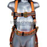 Full Body Harness With Tongue Buckle Legs and Belt thumbnail-1