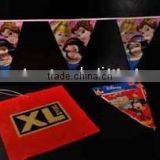 Degradable Party Buntings thumbnail-1