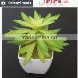 Hot Sale Artificial Potted Plants Chinese Succulent Plants thumbnail-4