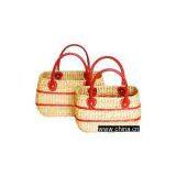 Water Hyacinth thumbnail-1