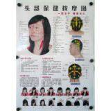 Acupuncture Points Charts Wall Form 7 Pages Paper (47cmX66cm) Meridian Chart Acupoint thumbnail-3