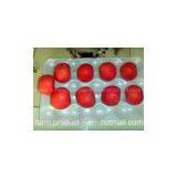 Apple,apple Supplier,Chinese Fuji Apple Supplier,Fuji Apple thumbnail-1