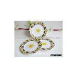 Melamine Plate thumbnail-1