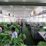 Professional Quality Check Control Third Party Inspection Agent in China thumbnail-2