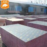 1220x2440mm Structural Plywood for Construction thumbnail-4