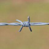 Hot Dipped Galvanized Barbed Wire Security Fence thumbnail-3