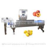 Automatic Onion Potato Sorting Machine Fruit Weight Grading Machine thumbnail-3