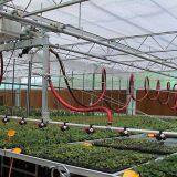 Multi Span PC GLASS Agricultural Greenhouse thumbnail-2