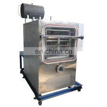 Vacuum Freeze Dried Fruits & Vegetable, freeze dry strawberries machine