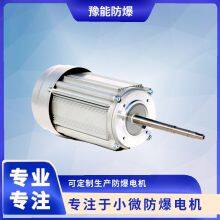 YBJY71 Special Motor for Experimental Instruments thumbnail-4