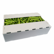 Custom PP Corrugated Plastic Okra and Vegetable Packing Boxes – Wholesale Manufacturer thumbnail-4
