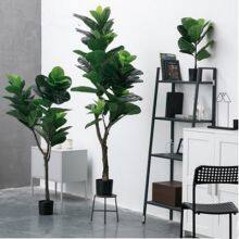 High Quality Fiddle Leaf Bonsai Plants Decorative Home Outdoor Bonsai Stand thumbnail-2
