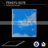 Nwe Design House Decoration Material Pvc Wall Panel Made in China thumbnail-5