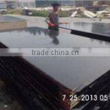 Macedonia Market Film Faced Plywood thumbnail-5