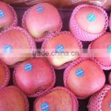 2014 chinese sweet apple