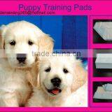 PUPPY WEE WEE TRAINING PADS thumbnail-1