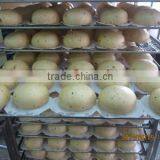 TY-812 Meat Bun Machine thumbnail-6