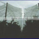 LDPE plastic rain cover for grape vineyard and orchard