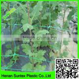 Tomato Supporting netting / plastic plant climbing net
